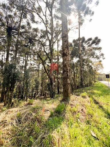 null: 3ª foto da galeria de imagens do imóvel