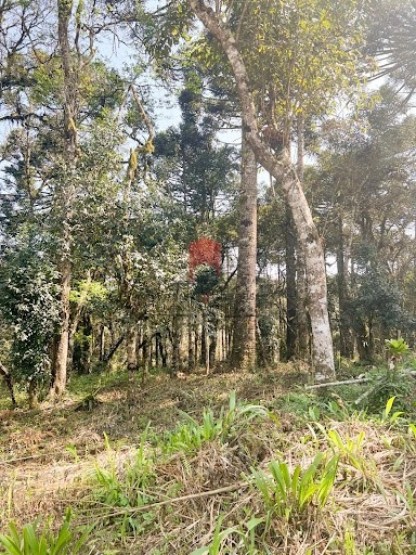 null: 5ª foto da galeria de imagens do imóvel