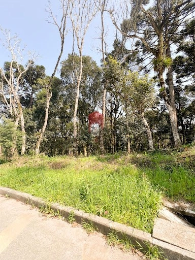 null: 6ª foto da galeria de imagens do imóvel