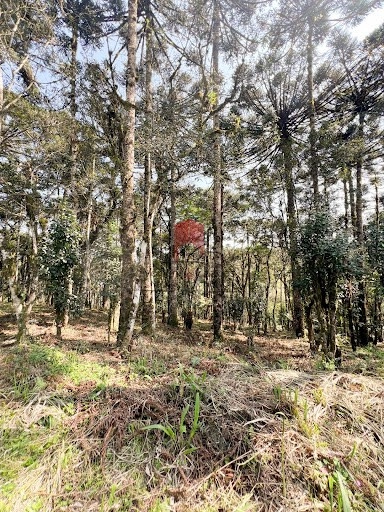 null: 2ª foto da galeria de imagens do imóvel