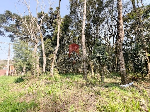 null: 1ª foto da galeria de imagens do imóvel