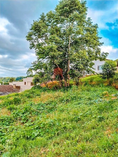 null: 3ª foto da galeria de imagens do imóvel