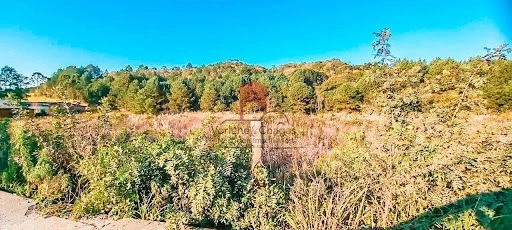 null: 4ª foto da galeria de imagens do imóvel