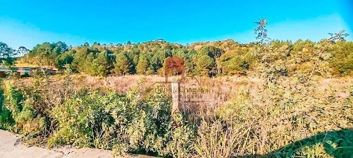 null: 5ª foto da galeria de imagens do imóvel