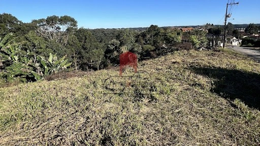 null: 4ª foto da galeria de imagens do imóvel