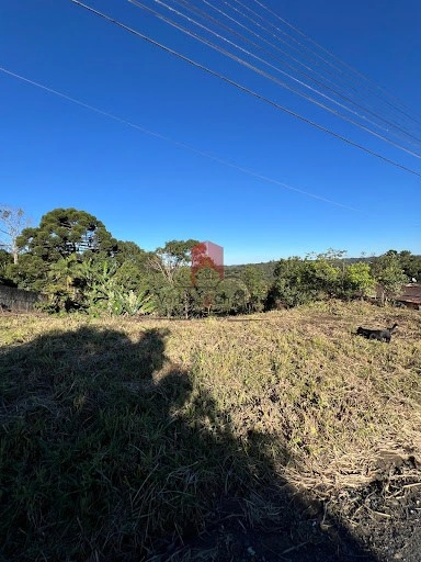 null: 2ª foto da galeria de imagens do imóvel