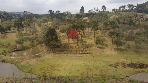 null: 5ª foto da galeria de imagens do imóvel