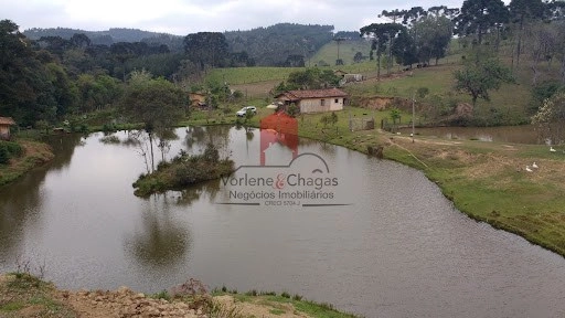 null: 4ª foto da galeria de imagens do imóvel