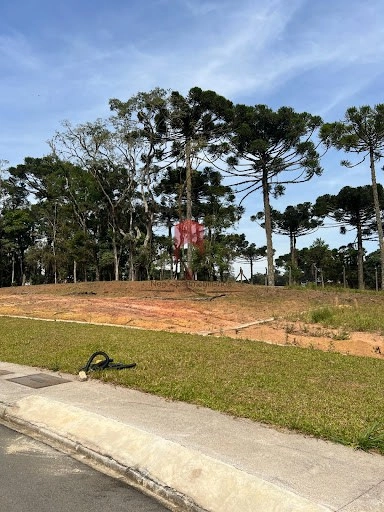 null: 14ª foto da galeria de imagens do imóvel