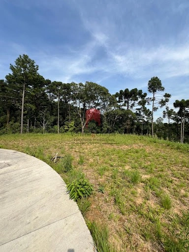 null: 11ª foto da galeria de imagens do imóvel