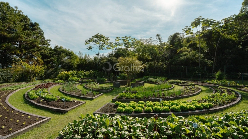 null: 58ª foto da galeria de imagens do imóvel