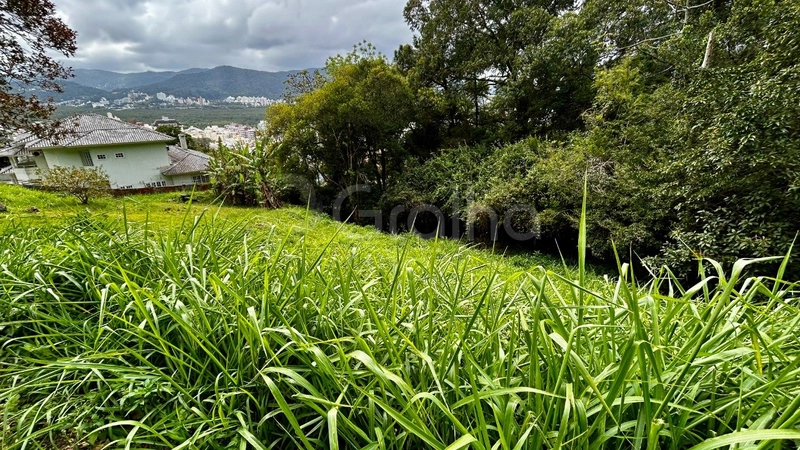 null: 4ª foto da galeria de imagens do imóvel