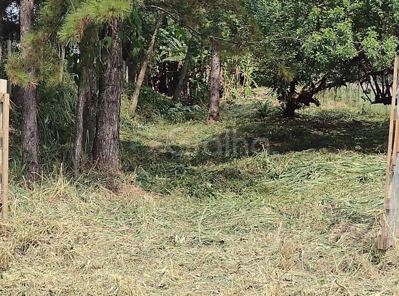 null: 4ª foto da galeria de imagens do imóvel