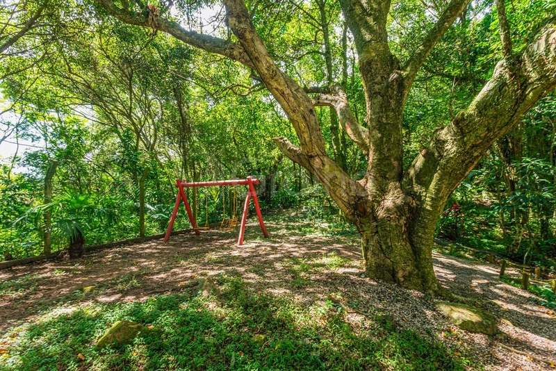 null: 48ª foto da galeria de imagens do imóvel