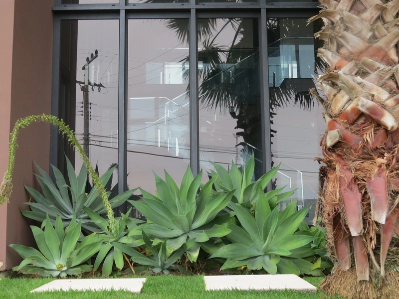 Casa 3 suítes em condomínio fechado no Cacupé: 2ª foto da galeria de imagens do imóvel