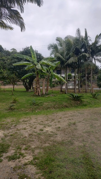 CHÁCARA EM ILHOTA - 20.000m²: 10ª foto da galeria de imagens do imóvel