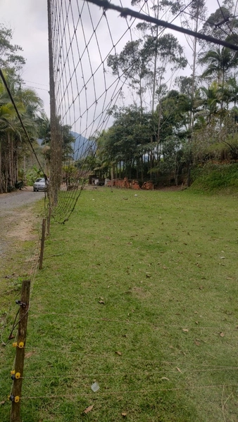 CHÁCARA EM ILHOTA - 20.000m²: 8ª foto da galeria de imagens do imóvel