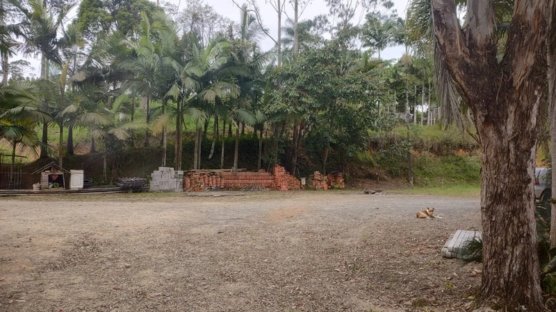 CHÁCARA EM ILHOTA - 20.000m²: 3ª foto da galeria de imagens do imóvel