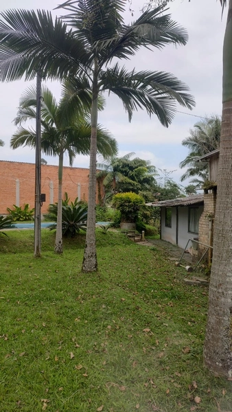 CHÁCARA EM ILHOTA - 20.000m²: 7ª foto da galeria de imagens do imóvel