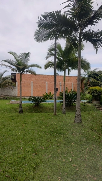 CHÁCARA EM ILHOTA - 20.000m²: 11ª foto da galeria de imagens do imóvel