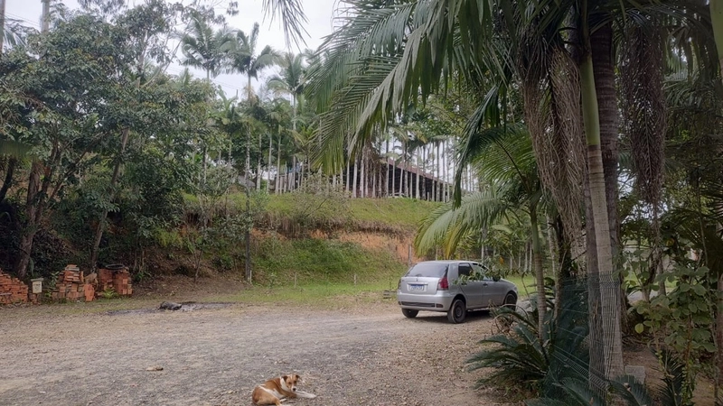 CHÁCARA EM ILHOTA - 20.000m²: 2ª foto da galeria de imagens do imóvel