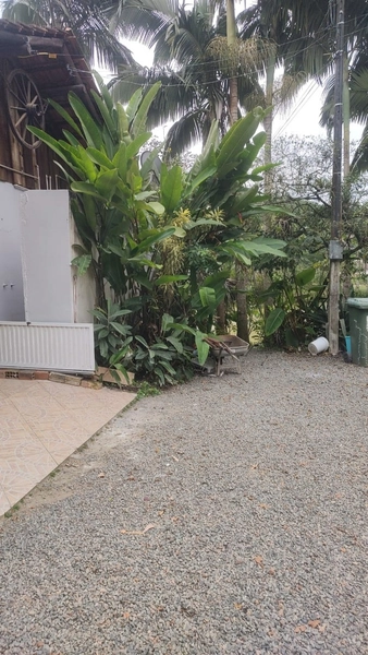 CHÁCARA EM ILHOTA - 20.000m²: 19ª foto da galeria de imagens do imóvel