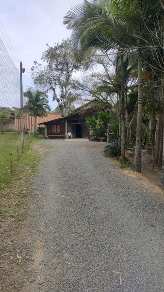 CHÁCARA EM ILHOTA - 20.000m²: 6ª foto da galeria de imagens do imóvel