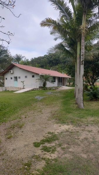 CHÁCARA EM ILHOTA - 20.000m²: 15ª foto da galeria de imagens do imóvel