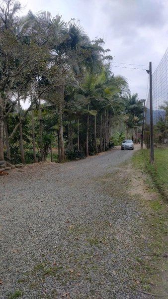 CHÁCARA EM ILHOTA - 20.000m²: 16ª foto da galeria de imagens do imóvel