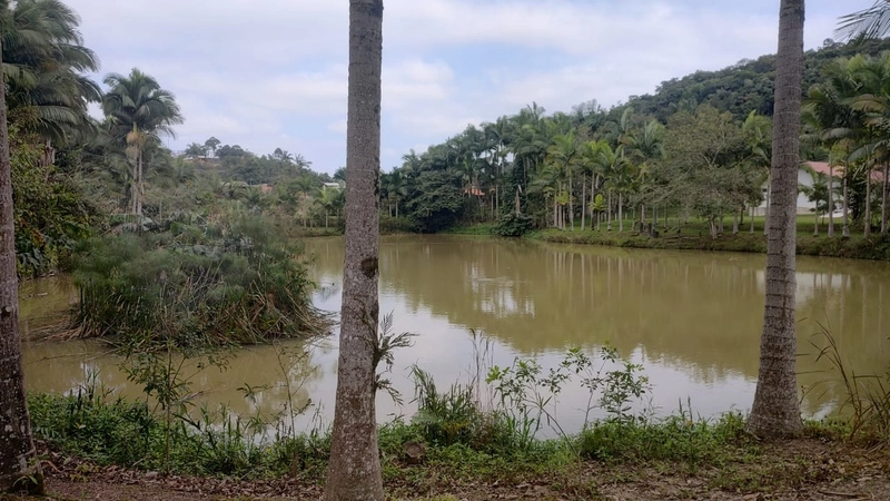 CHÁCARA EM ILHOTA - 20.000m²: 4ª foto da galeria de imagens do imóvel