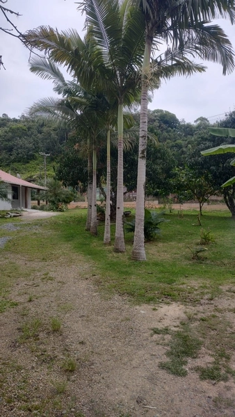 CHÁCARA EM ILHOTA - 20.000m²: 18ª foto da galeria de imagens do imóvel