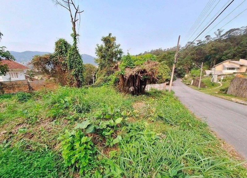 null: 4ª foto da galeria de imagens do imóvel