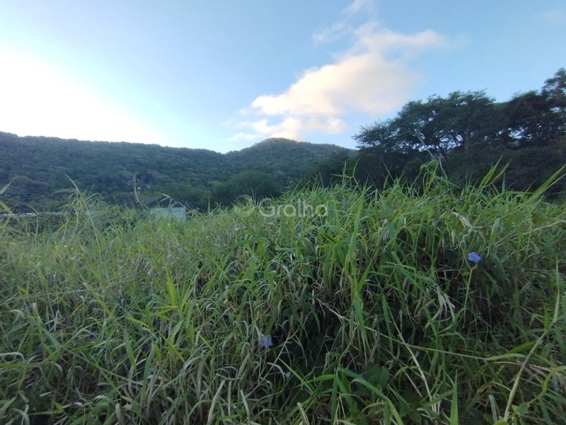 null: 4ª foto da galeria de imagens do imóvel