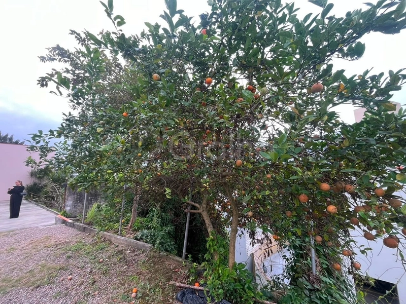 null: 32ª foto da galeria de imagens do imóvel