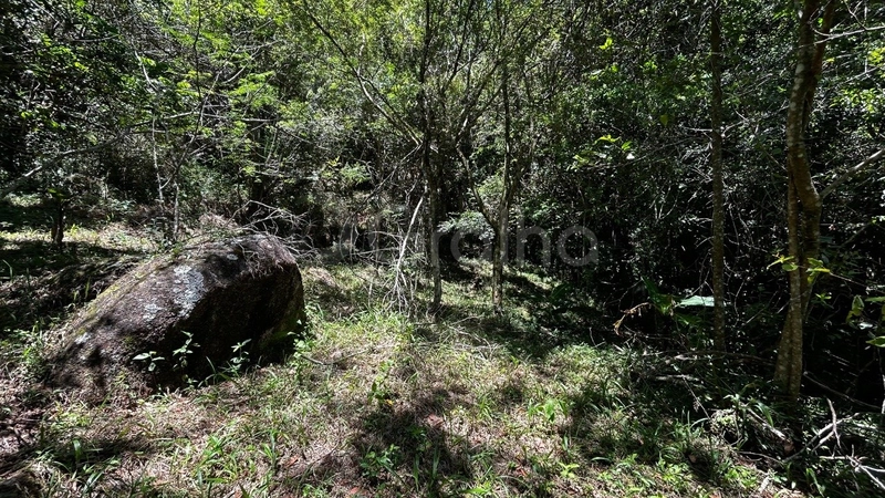 null: 35ª foto da galeria de imagens do imóvel