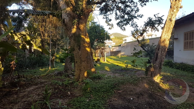 null: 4ª foto da galeria de imagens do imóvel