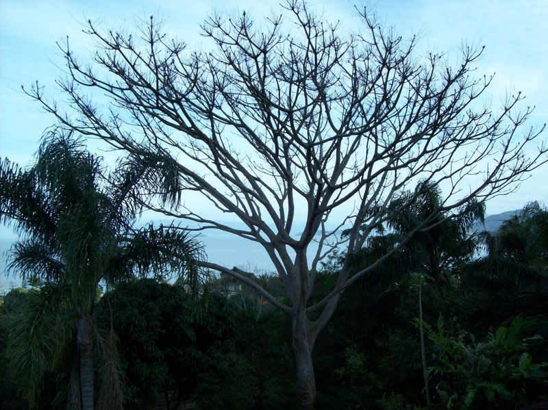 null: 2ª foto da galeria de imagens do imóvel
