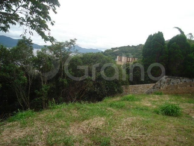 null: 12ª foto da galeria de imagens do imóvel