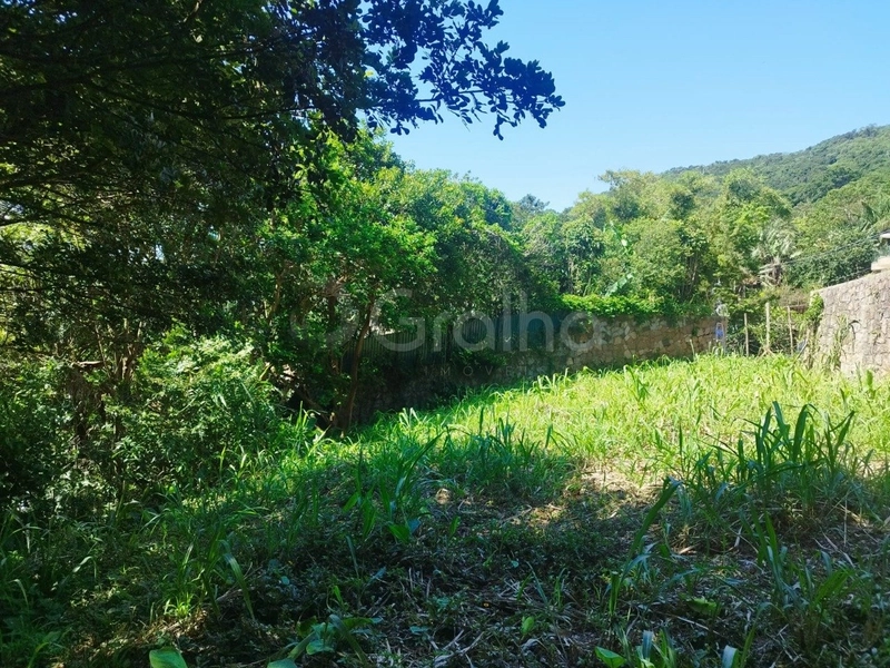 null: 7ª foto da galeria de imagens do imóvel