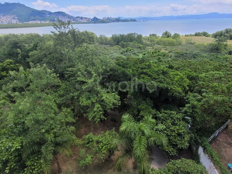null: 35ª foto da galeria de imagens do imóvel