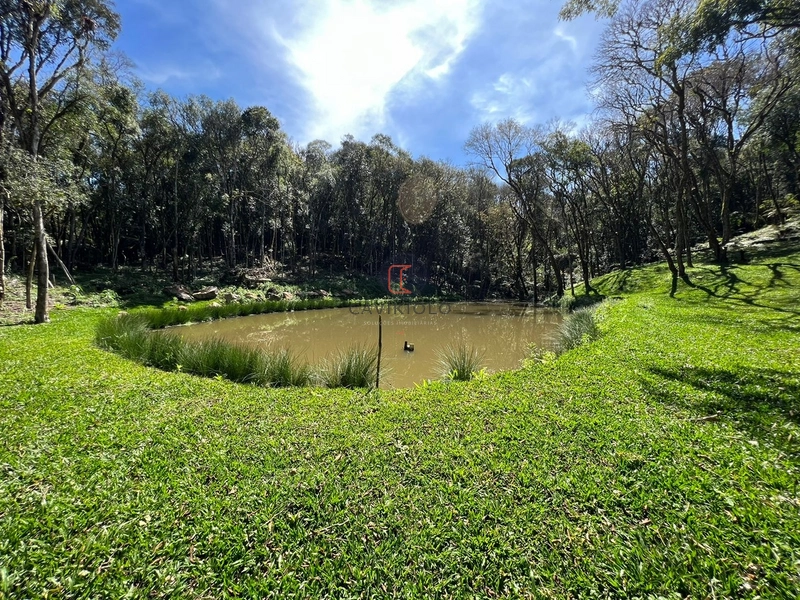 Chacara com 13.543m2 em São José dos Pinhais: 8ª foto da galeria de imagens do imóvel