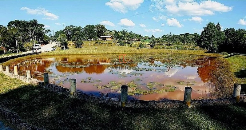 Chacara com 13.543m2 em São José dos Pinhais: 3ª foto da galeria de imagens do imóvel