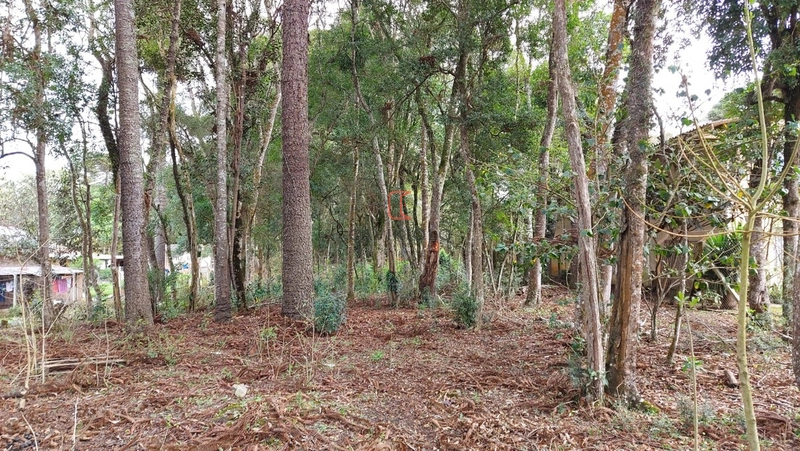 Área 12.900m2 na Br-376 a venda em São José dos Pinhais: 3ª foto da galeria de imagens do imóvel