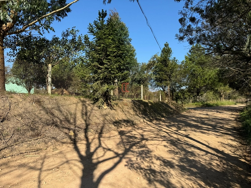 Chacara com 49.000m2 a venda no Passo Amarelo: 3ª foto da galeria de imagens do imóvel