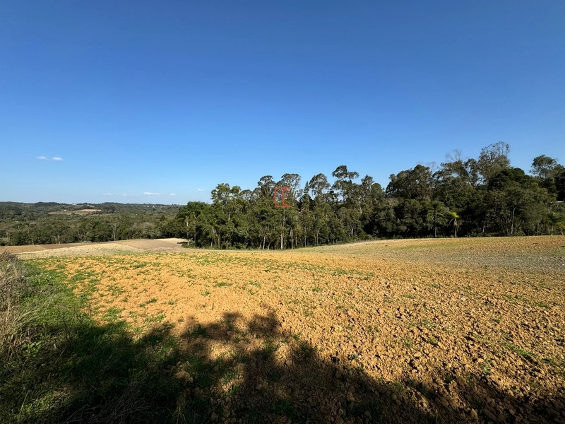 Chacara com 49.000m2 a venda no Passo Amarelo: 10ª foto da galeria de imagens do imóvel