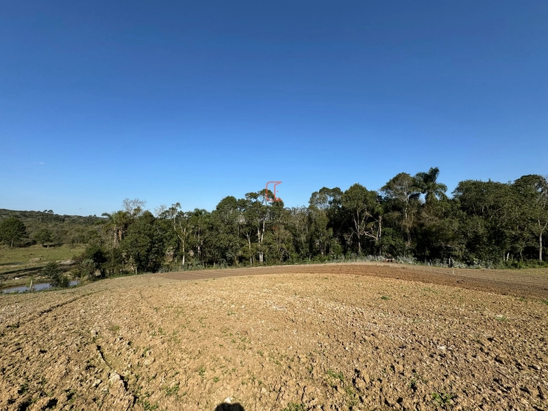 Chacara com 49.000m2 a venda no Passo Amarelo: 18ª foto da galeria de imagens do imóvel