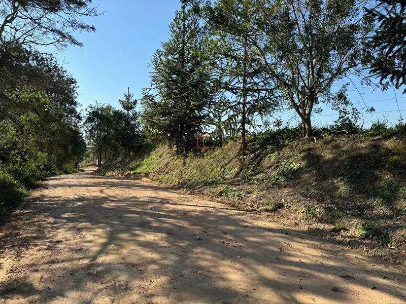 Chacara com 49.000m2 a venda no Passo Amarelo: 1ª foto da galeria de imagens do imóvel