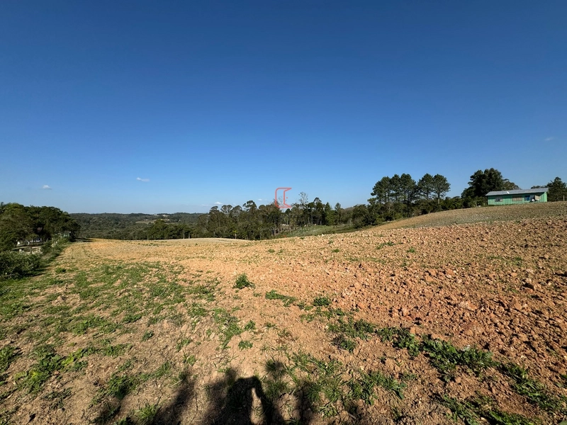Chacara com 49.000m2 a venda no Passo Amarelo: 9ª foto da galeria de imagens do imóvel