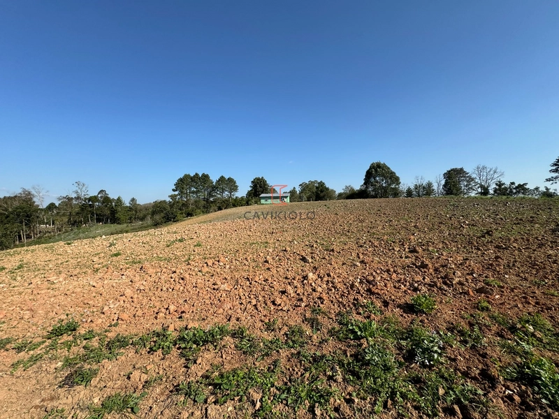 Chacara com 49.000m2 a venda no Passo Amarelo: 8ª foto da galeria de imagens do imóvel