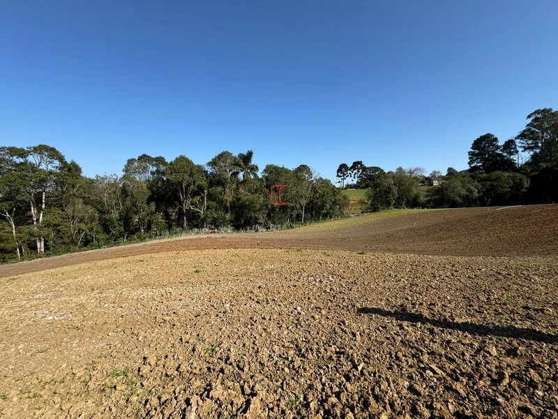 Chacara com 49.000m2 a venda no Passo Amarelo: 17ª foto da galeria de imagens do imóvel